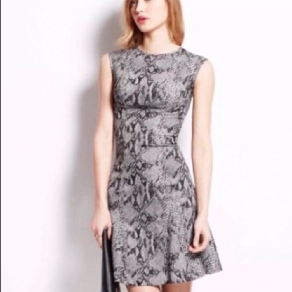 Ann Taylor Snake Print Dress